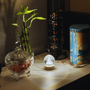 Luminária Cristal LED - Nossa Senhora Aparecida